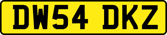 DW54DKZ