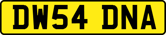 DW54DNA