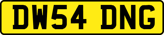 DW54DNG