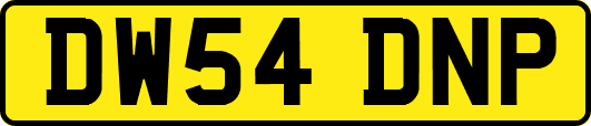 DW54DNP