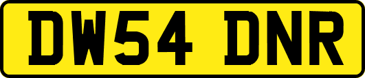 DW54DNR