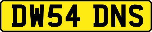 DW54DNS