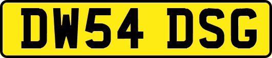 DW54DSG
