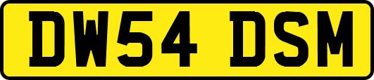 DW54DSM