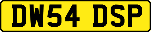 DW54DSP