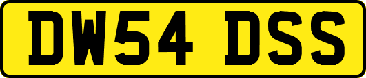 DW54DSS