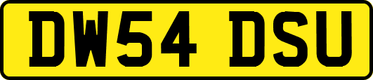 DW54DSU