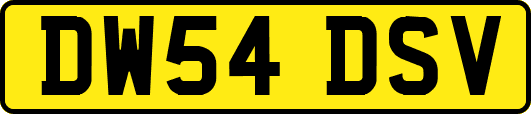 DW54DSV