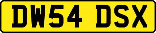 DW54DSX
