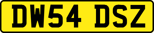 DW54DSZ