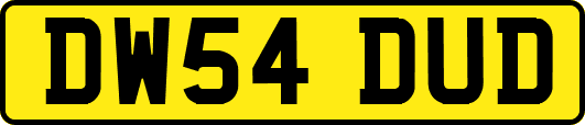 DW54DUD