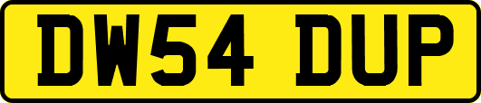DW54DUP