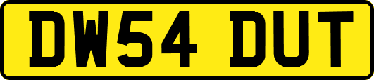 DW54DUT