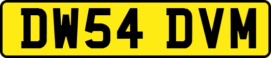 DW54DVM