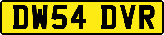 DW54DVR