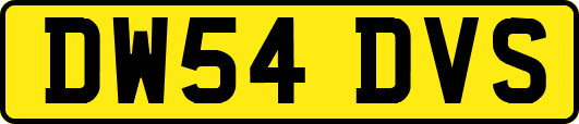 DW54DVS