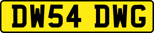 DW54DWG