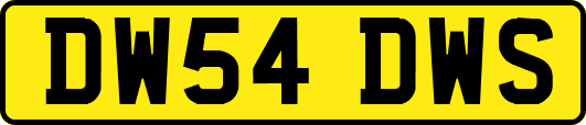 DW54DWS