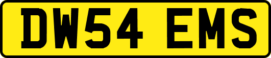 DW54EMS