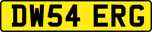 DW54ERG