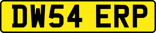 DW54ERP