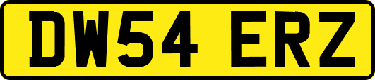 DW54ERZ