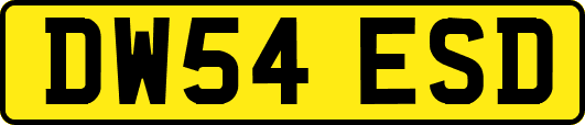 DW54ESD