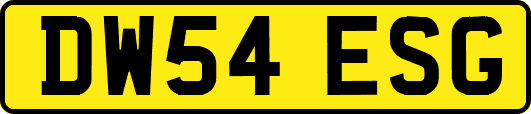 DW54ESG