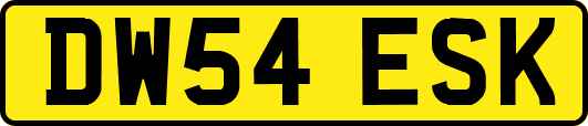 DW54ESK