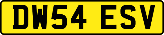 DW54ESV