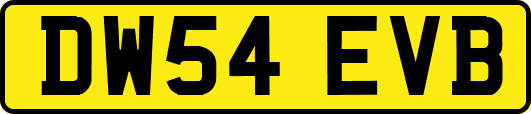 DW54EVB
