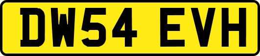 DW54EVH