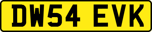 DW54EVK