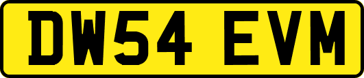 DW54EVM