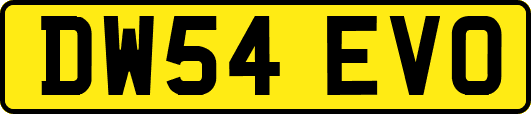 DW54EVO