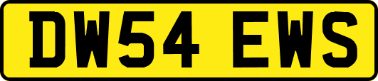 DW54EWS