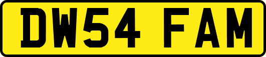 DW54FAM
