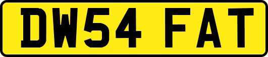 DW54FAT