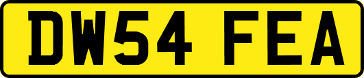 DW54FEA