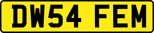 DW54FEM