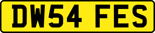 DW54FES