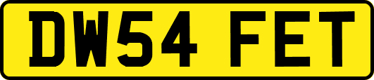 DW54FET