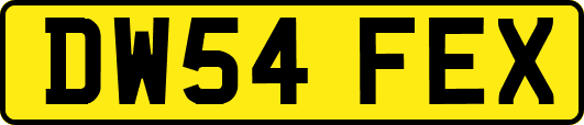 DW54FEX