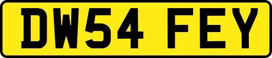 DW54FEY