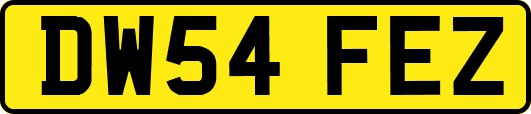 DW54FEZ