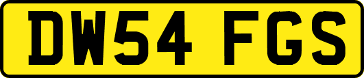 DW54FGS