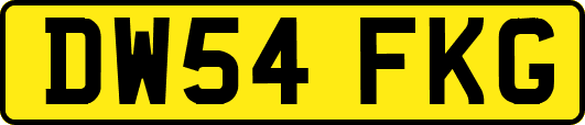 DW54FKG