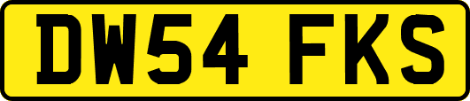 DW54FKS