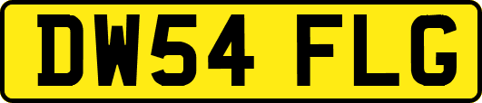 DW54FLG
