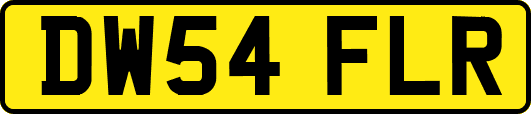 DW54FLR